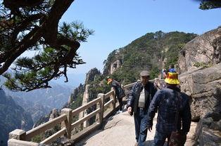 黄山吃瓜大赛事件,一场美食与文化的碰撞