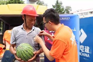 城固吃瓜群众事件真相