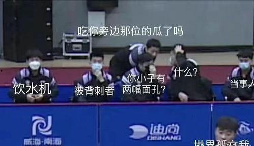 乒乓队集体吃瓜事件真相