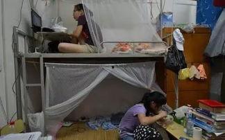 女大学生宿舍吃瓜事件,揭秘校园生活背后的八卦风云