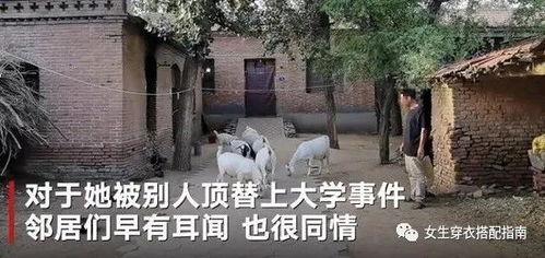 北沟街道吃瓜事件始末,一场引发热议的社区冲突始末