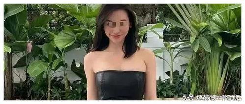 东北御姐吃瓜事件视频,一场网络热议的瓜田奇谈