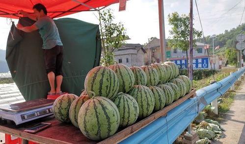 韩城吃瓜通盛事件,揭秘背后真相与网络舆论风暴