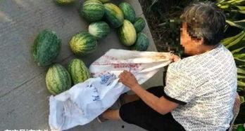 天水最新吃瓜事件真相,真相大白，疑云散去