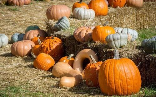 8月很火的吃瓜事件