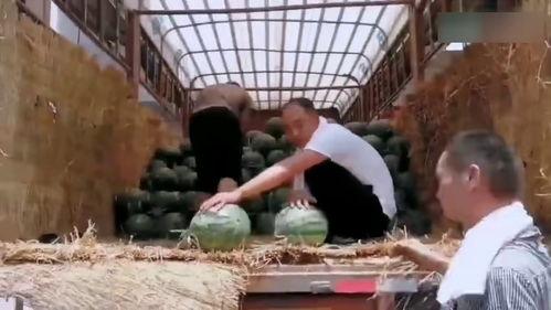 长清大学吃瓜最新事件,揭秘校园内幕，真相大白