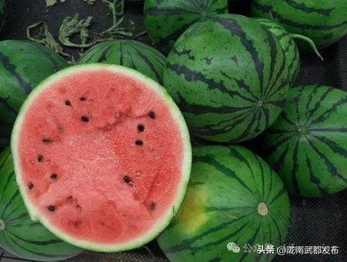 昌乐吃瓜事件视频播放时间