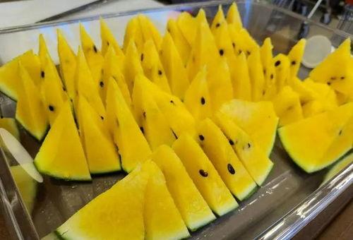 上海的吃瓜事件真相视频,真相视频背后的惊人内幕