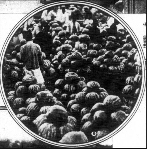 上海嘉定吃瓜事件,一场网络热议背后的真相与反思