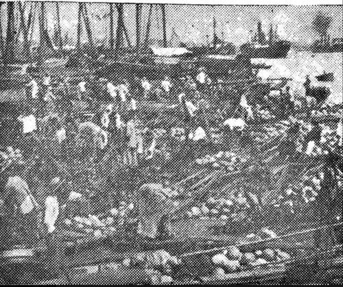 上海嘉定吃瓜事件,一场网络热议背后的真相与反思