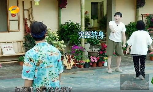 柳城吃瓜群众事件真相,揭开真相背后的网络迷雾