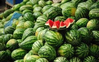 福建近期热门吃瓜事件真相,一场跨越季节的误会