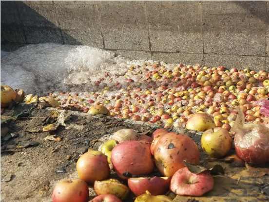三门峡人民吃瓜事件,一场引发全民热议的网络狂欢