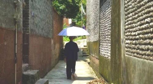 寿光顶楼吃瓜事件真相揭秘,真相与反思