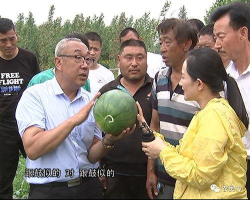 清华博士吃瓜事件,网络舆论场中的学术争议与反思