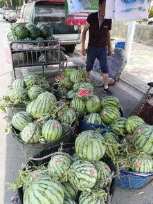 东营市万达吃瓜事件,一场引发热议的社区冲突