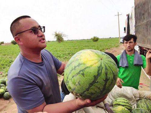 合肥吃瓜最新事件新闻,揭秘背后真相与网络舆论风暴