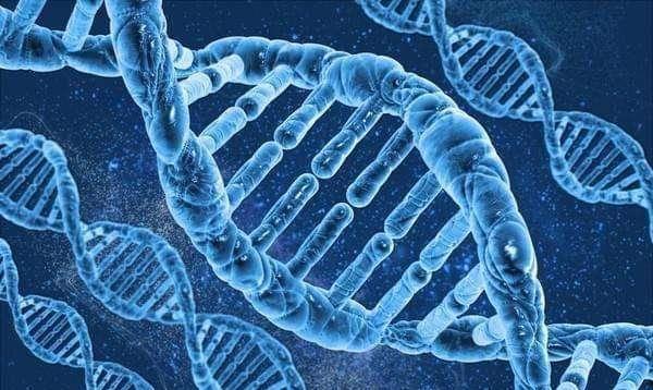 最近的吃瓜事件31人dna,揭秘近期吃瓜事件真相