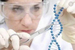 最近的吃瓜事件31人dna,揭秘近期吃瓜事件真相