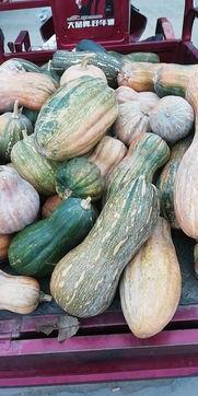 东营吃瓜事件官方消息,官方通报揭示真相与后续处理