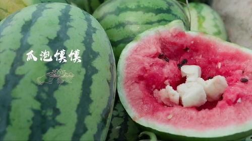 河北邢台第一美吃瓜最新事件爆料,第一美吃瓜事件引爆网络热议