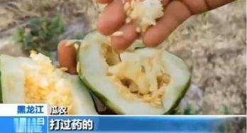 临沂平邑吃瓜事件真相视频,还原事件始末