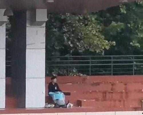 莱芜公园吃瓜事件视频曝光,视频曝光引发社会热议