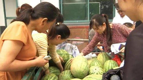 龙泉吃瓜群众事件视频,一场网络舆论的风暴与反思